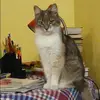 Отзыв от Яна Михеева
